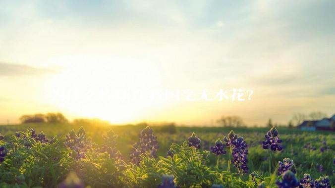 为什么棒球在我国毫无水花？