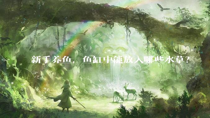 新手养鱼，鱼缸中能放入哪些水草？