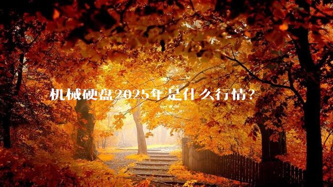 机械硬盘2025年是什么行情？