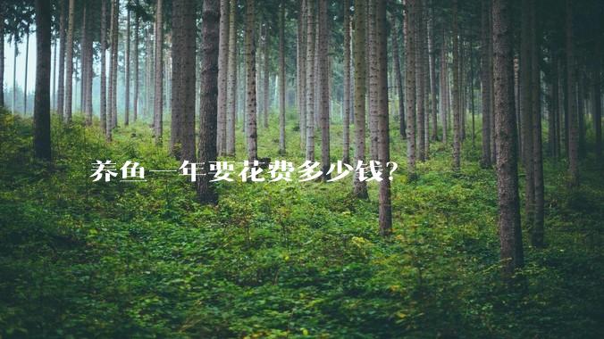 养鱼一年要花费多少钱？